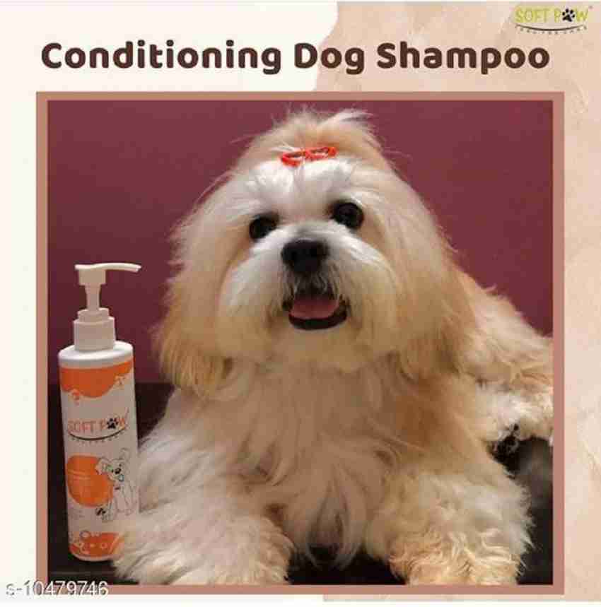 Orange top dog shampoo