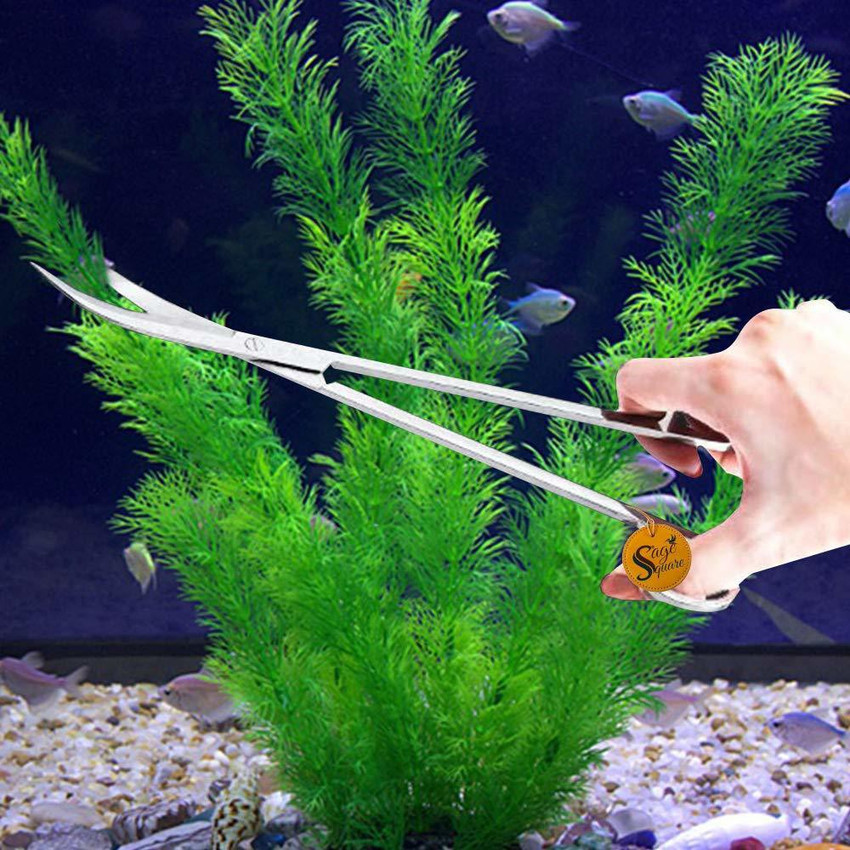 Tong's tropical fish sale & pets