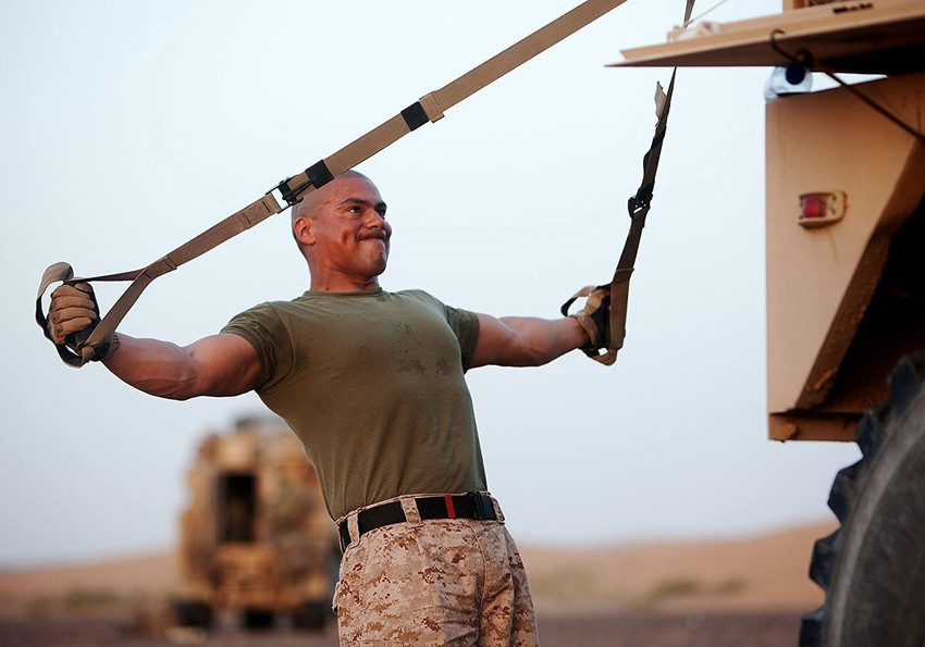 Total body discount suspension trainer
