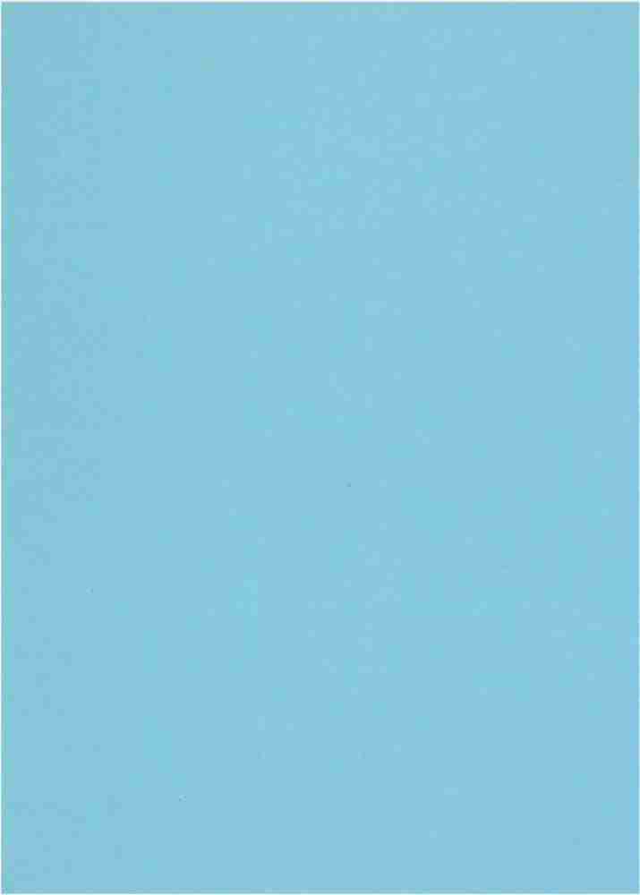  Sejas Collections A3 Premium LIGHT BLUE Color Paper/SHEETS, Set of 20 Sheets