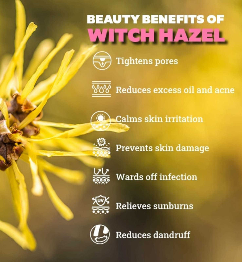 Witch hazel cream sale