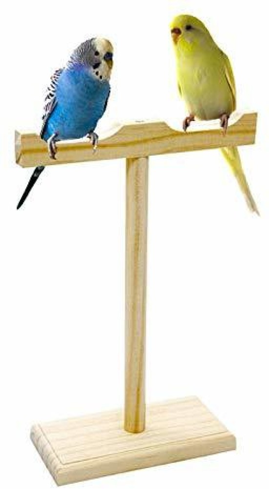 Bird stand cheap