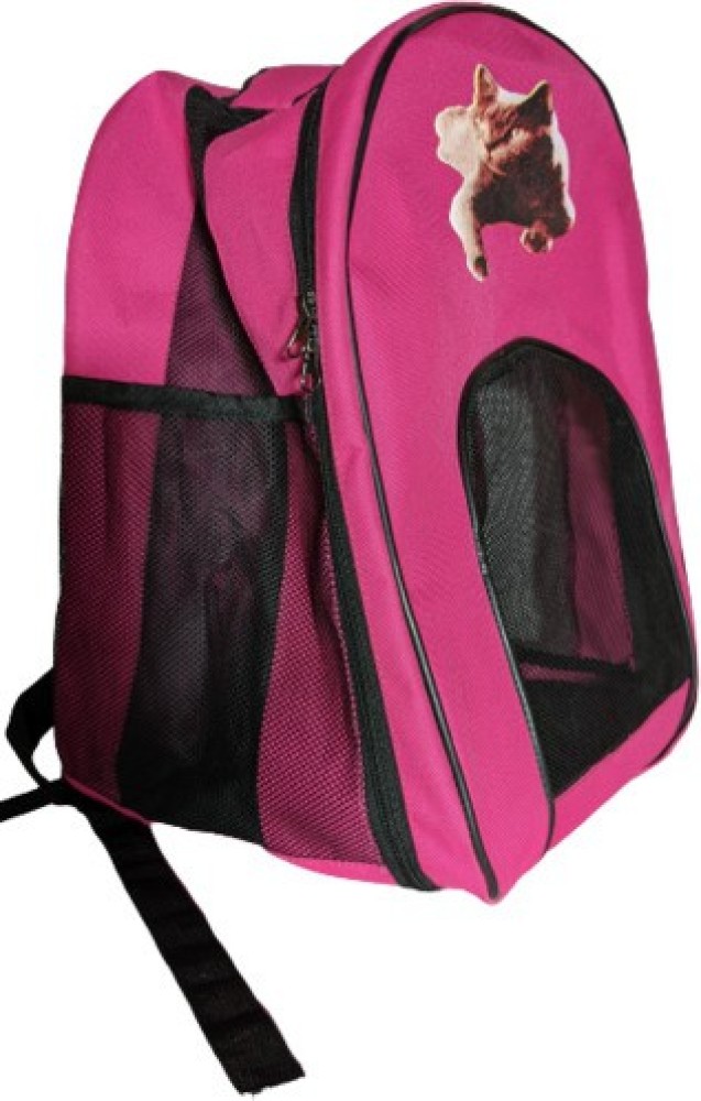 Pet planet cat clearance carrier