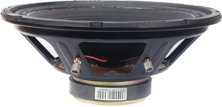 12 inch 80 watt speaker hot sale