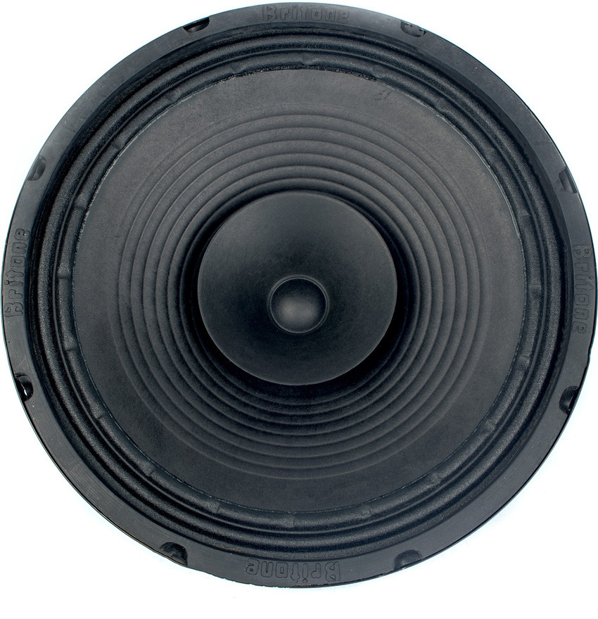 12 inch 80 watt speaker hot sale