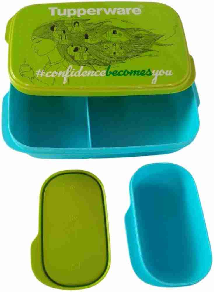 Tupperware Lunch Box/Foodie Buddies