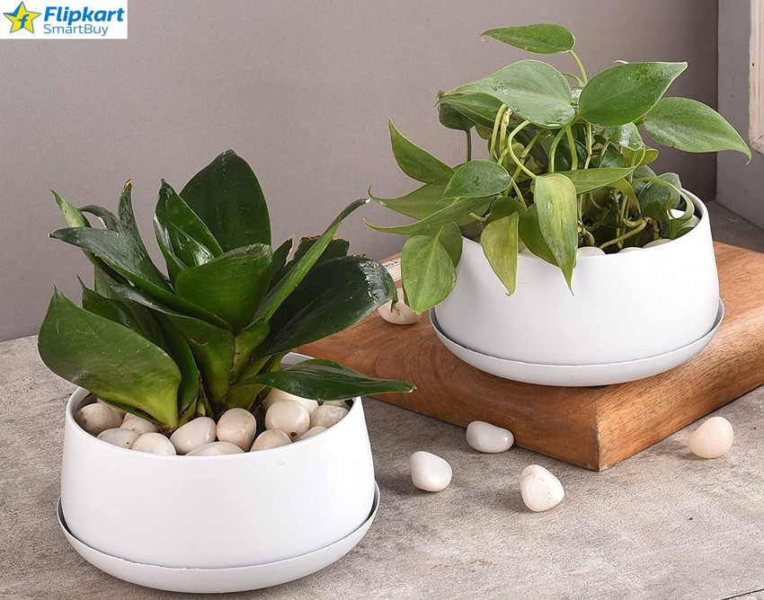 Flipkart flower pot hotsell