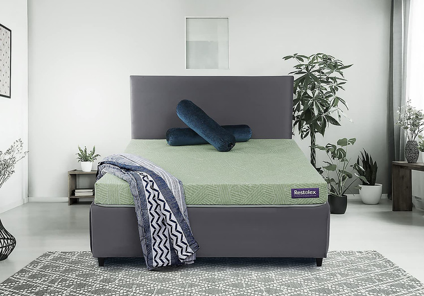 Restolex Restopedic Natural Latex Coir 75 x 66 x 5 5 inch Queen