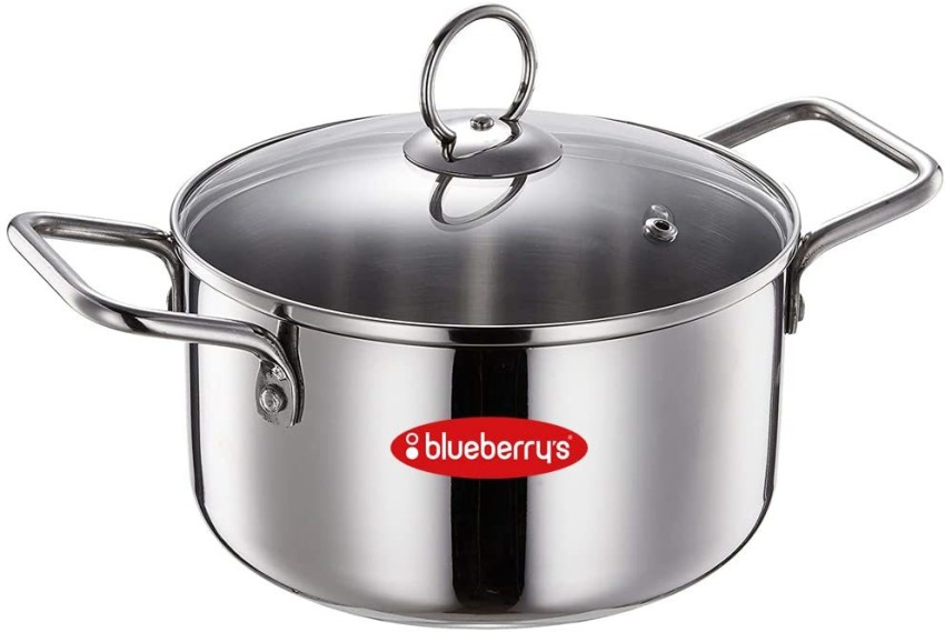 Buy Blueberrys 8 Litre Non-Stick Biriyani Pot With Glass Lid (Ruby