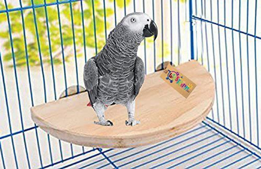 Bird store cage platform