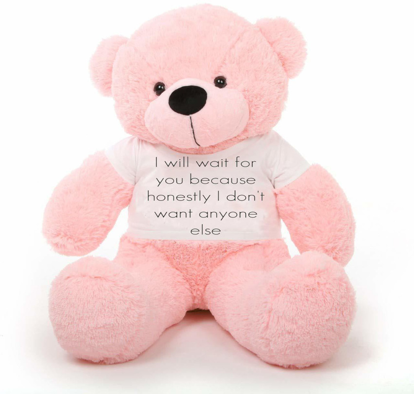 Largest teddy bear you can buy sales