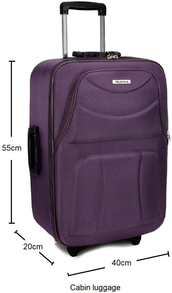 Discover 75+ i carry trolley bag