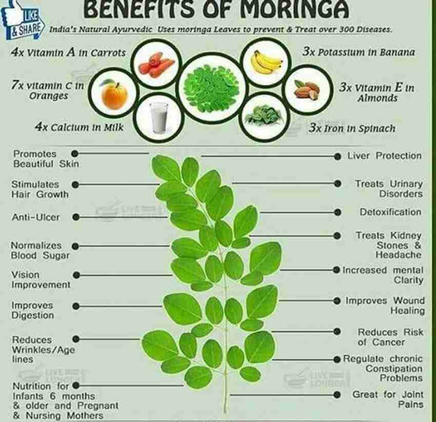 Jaisvi Moringa Juice Weight Loss PCOS PCOD Drumstick Leaves Juice Detox Drink Price in India Buy Jaisvi Moringa Juice Weight Loss PCOS PCOD