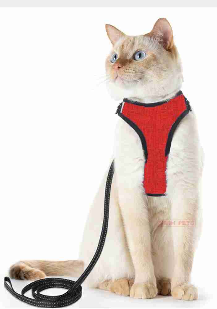 Cat Harness & Leash - Medium - Premier Pet