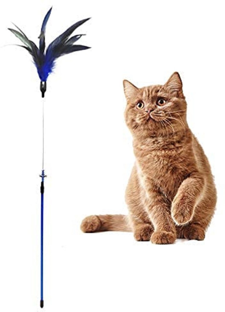 Emily Pets Cat Feather Stick Teaser Bell Toy 1 Piece (Color Vary) Plastic  Training Aid For Cat Price in India - Buy Emily Pets Cat Feather Stick  Teaser Bell Toy 1 Piece (