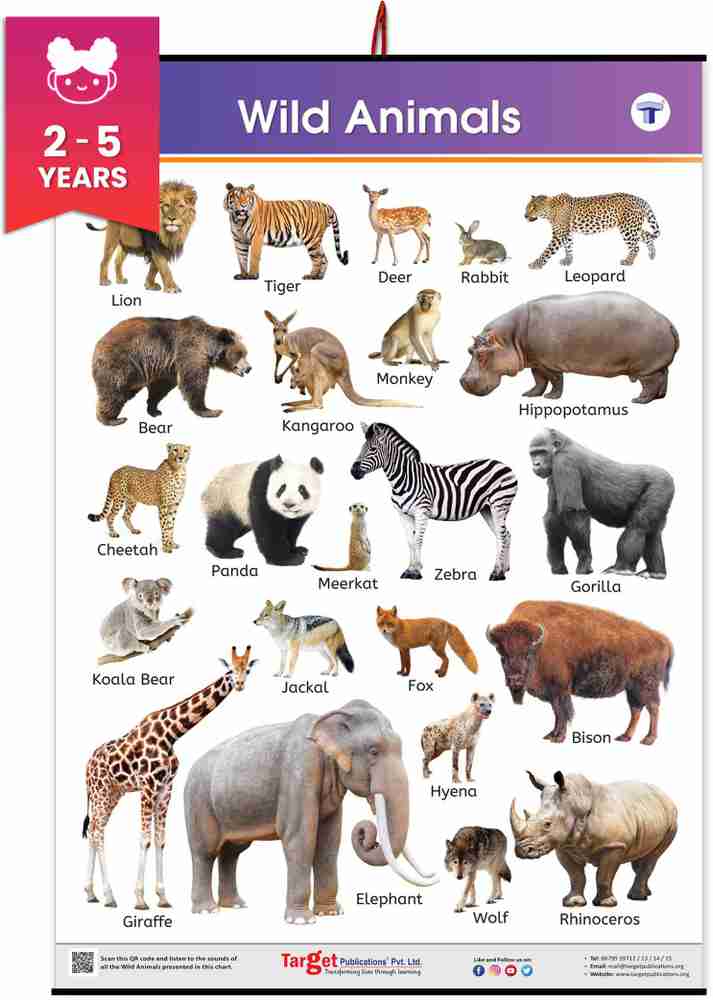 Wild Animals Pictures Chart