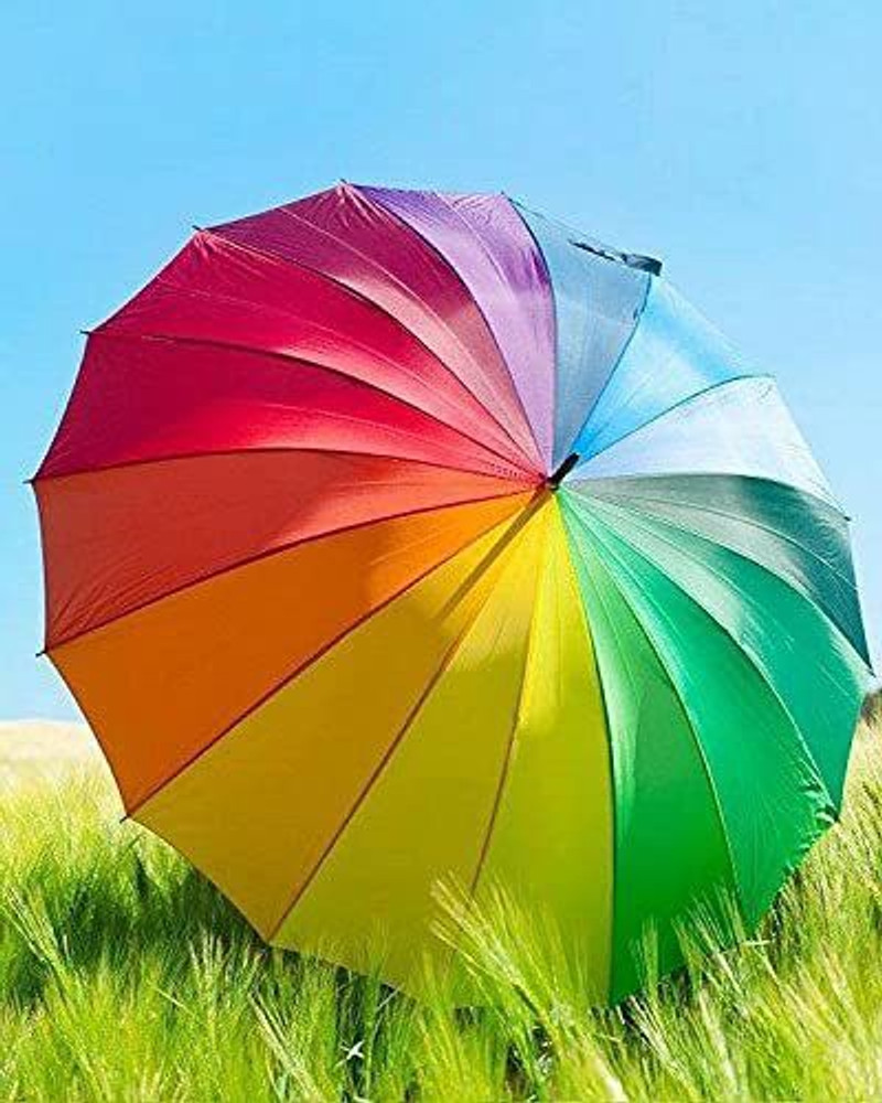 Buy umbrella online at lowest price hotsell