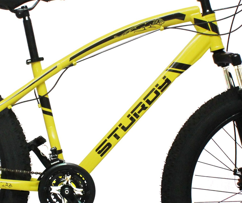 Sturdy bikes mountain carbon sales steel fat bike