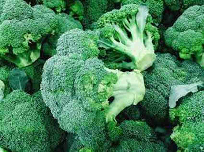 Nisargaa Broccoli f1 Green Giant Seeds For Home Kitchen Garden