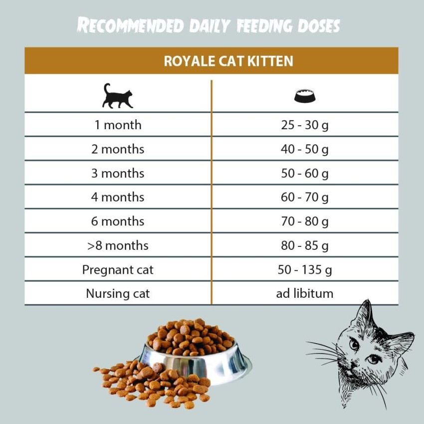 Kitten food chart sale