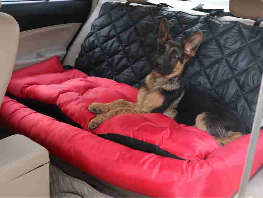 Double car hotsell seat for dogs