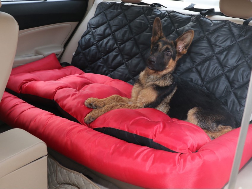 Safe and Comfy Pet Beds and Car Seats