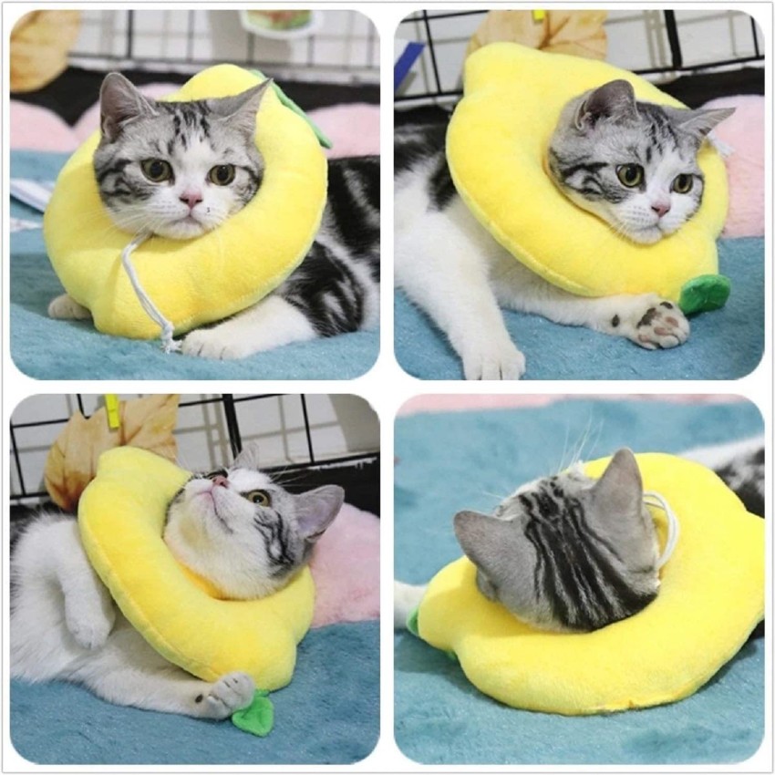 Lemon clearance cat collar