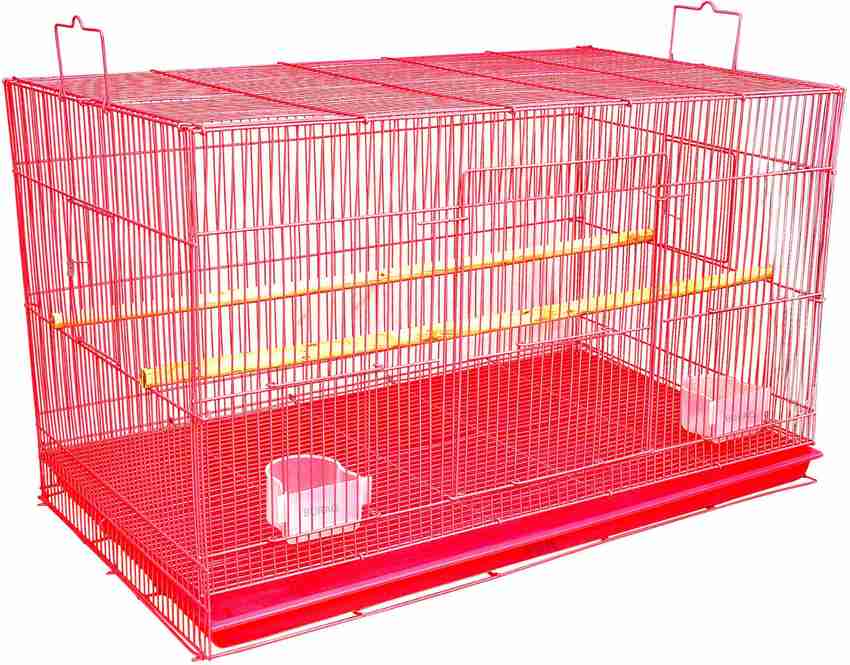 Love birds with cage price discount