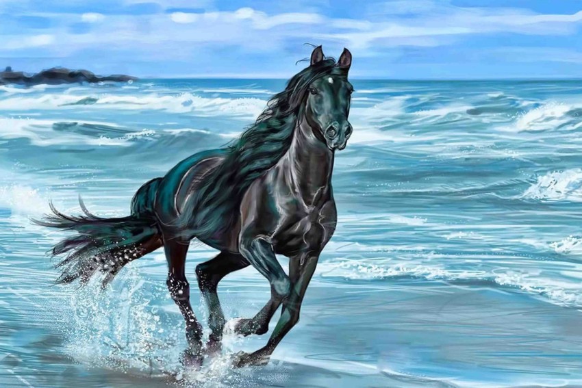 Beautiful Black Horse Wallpaper  Beautiful Black Horse Wall  Flickr