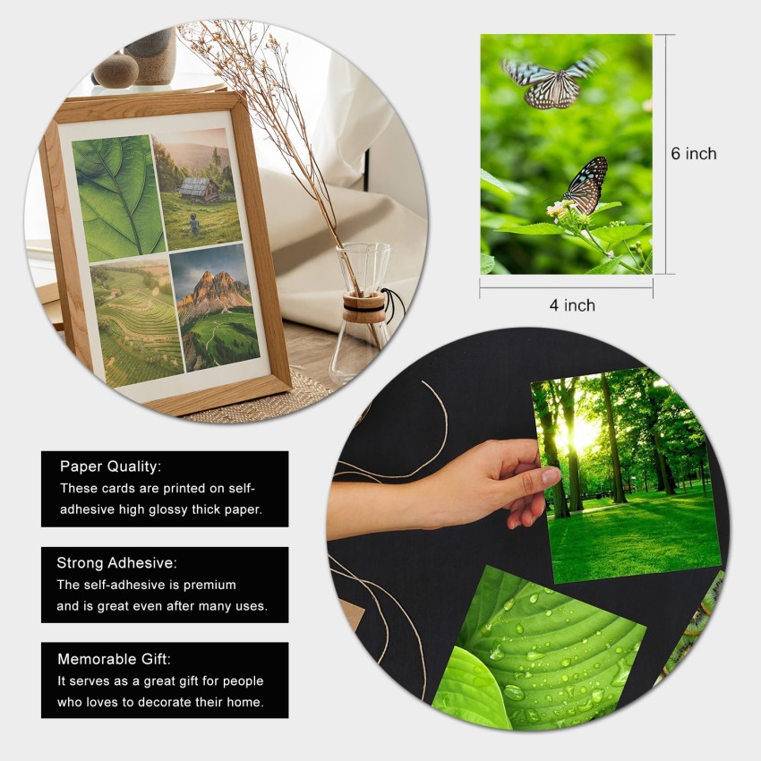 50pcs, 4''x6'' Prints Green Picture Wall Collage Kit For Wall Aesthetic  Collage Kit Plant Room Decoration Green Wall Collage Kit For Teen Girls,  Offic