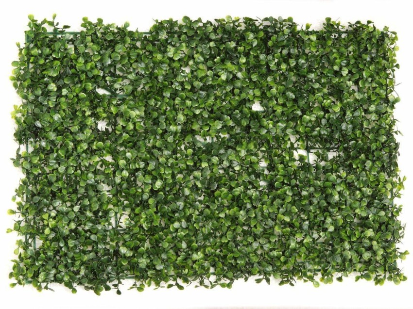 Home Story Artificial Grass Wall Mat for Wall Garden Home Decor (40 x 60  cm) Artificial Plant Price in India - Buy Home Story Artificial Grass Wall  Mat for Wall Garden Home