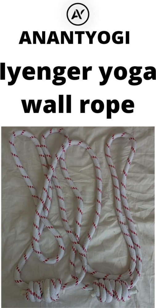 Anantyogi Iyenger yoga wall rope small 1 pair White - Buy
