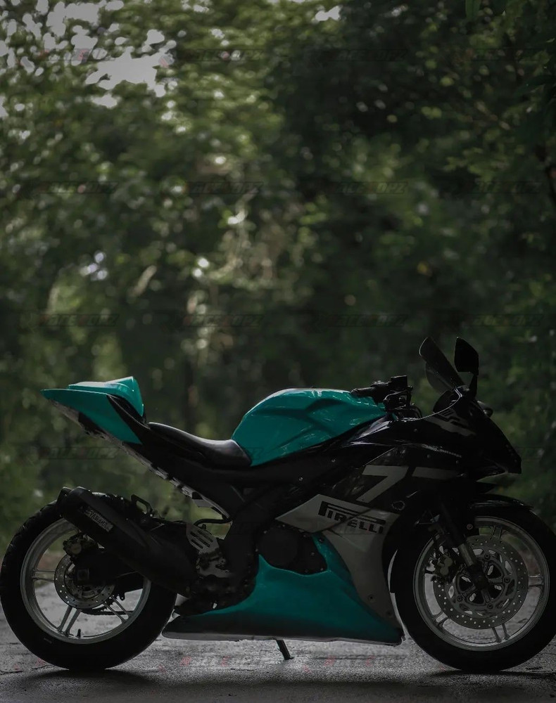 R15 without fairing deals