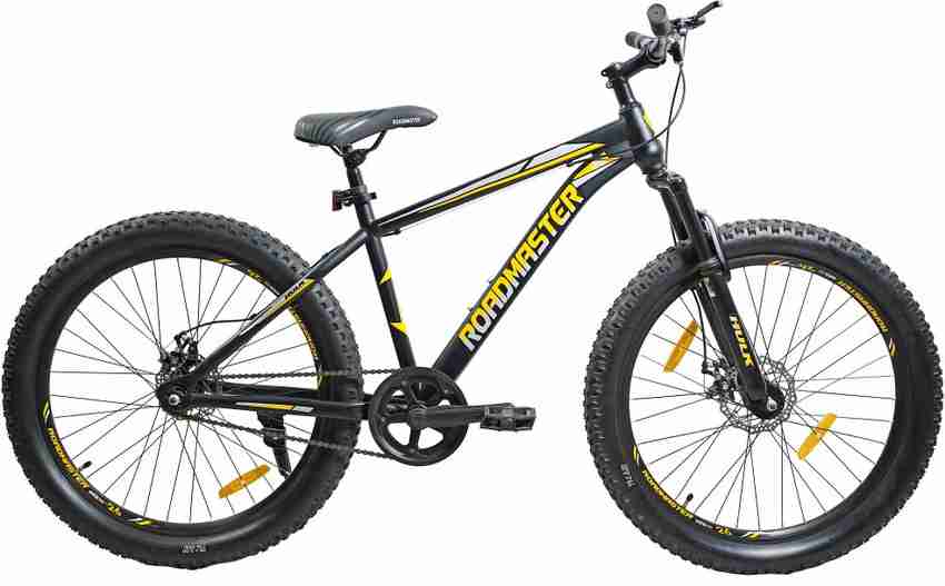 Roadmaster hotsell city bike