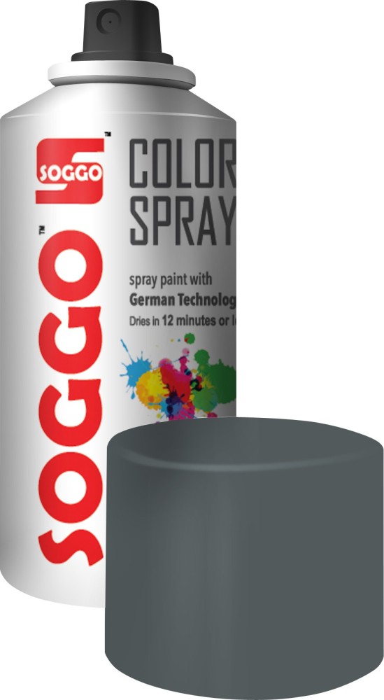 grey colour spray for bike