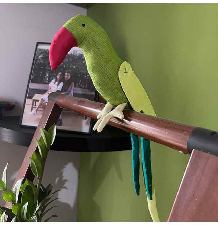 Alexandrine parrot clearance toys