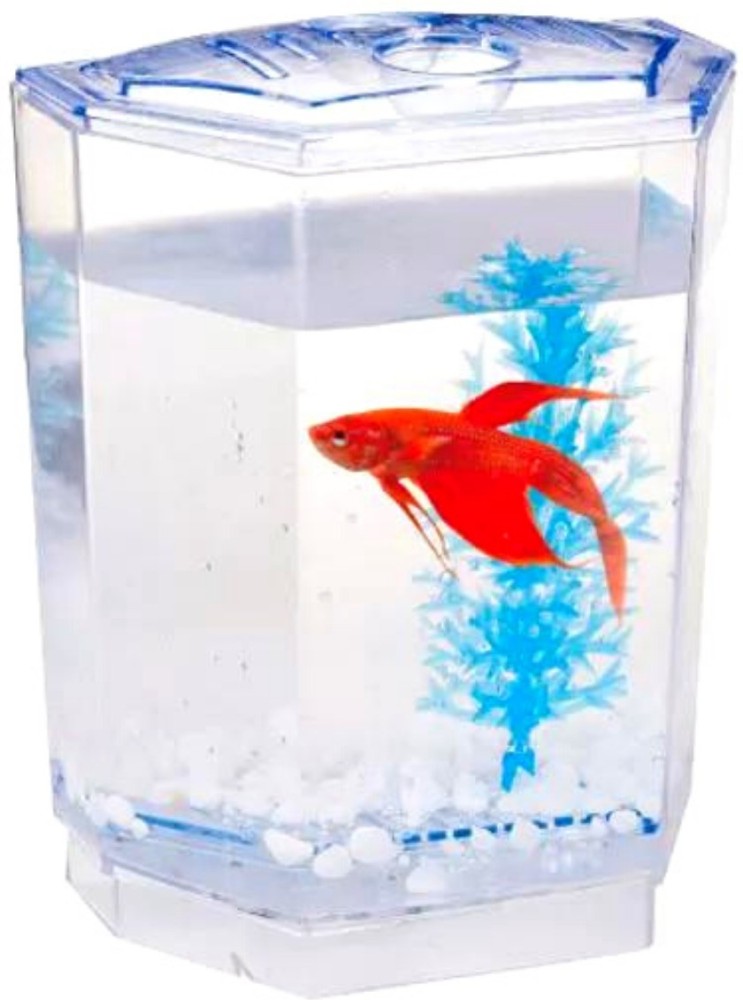 Buraq Acrylic Single House Betta Fish Tank Aquarium Isolation Box
