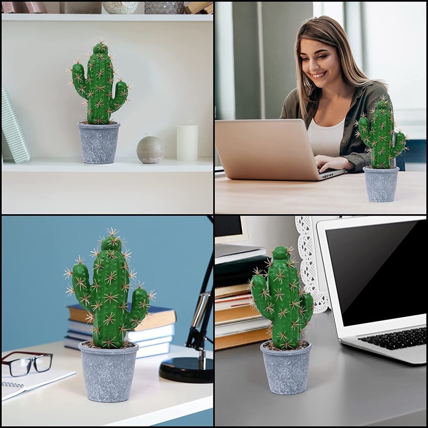 22 Pretty Cactus Plant Decor For Indoor And Outdoor | Housetodecor.com