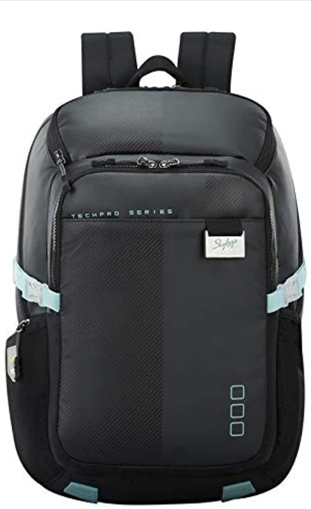 Skybags laptop backpack hotsell with rain cover