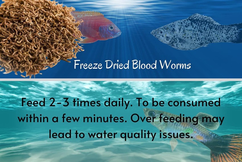 https://rukminim2.flixcart.com/image/850/1000/l4ei1e80/pet-food/v/s/z/0-035-fish-1-freeze-dried-blood-worms-35g-food-for-guppies-original-imagfatvra8brq3y.jpeg?q=90&crop=false