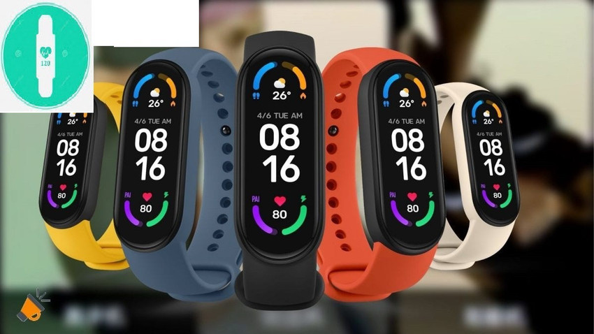 M4 plus 2025 band