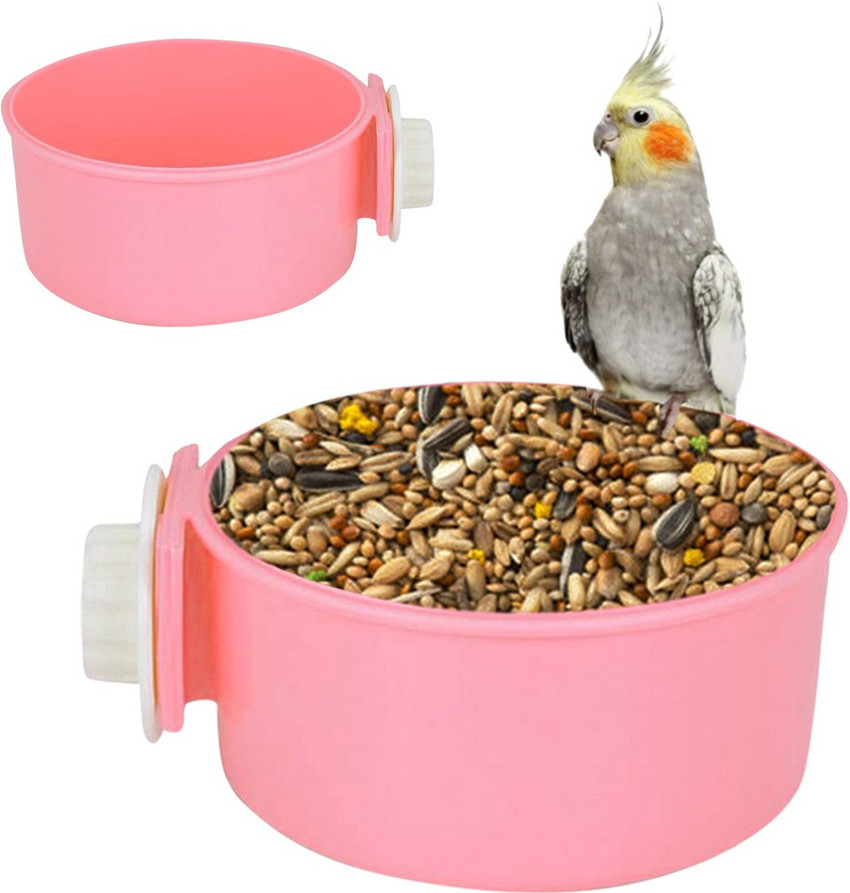 Bird new arrivals food bowl