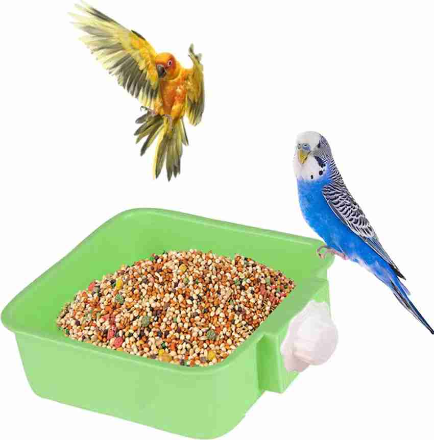 Bird food and top water dishes