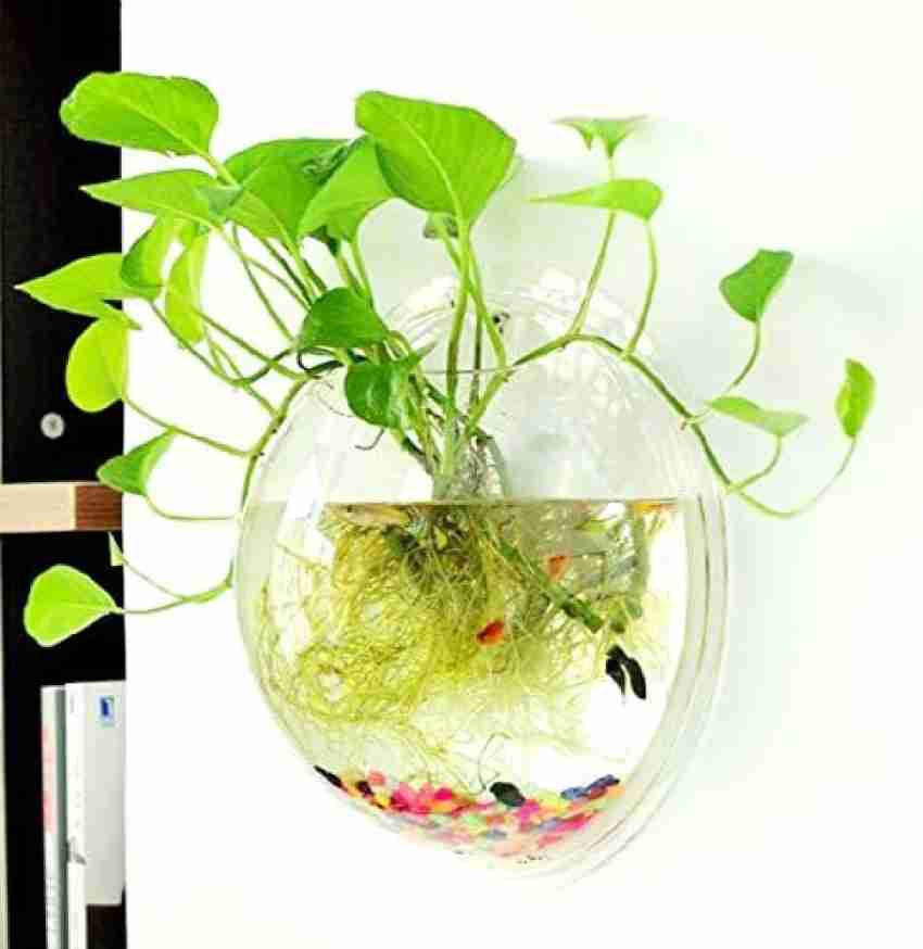 VAYINATO 15 Inch White Colour Acrylic Wall Hanging Bowl for Fish and Indoor  Water Plants Aquarium Tool Price in India - Buy VAYINATO 15 Inch White  Colour Acrylic Wall Hanging Bowl for