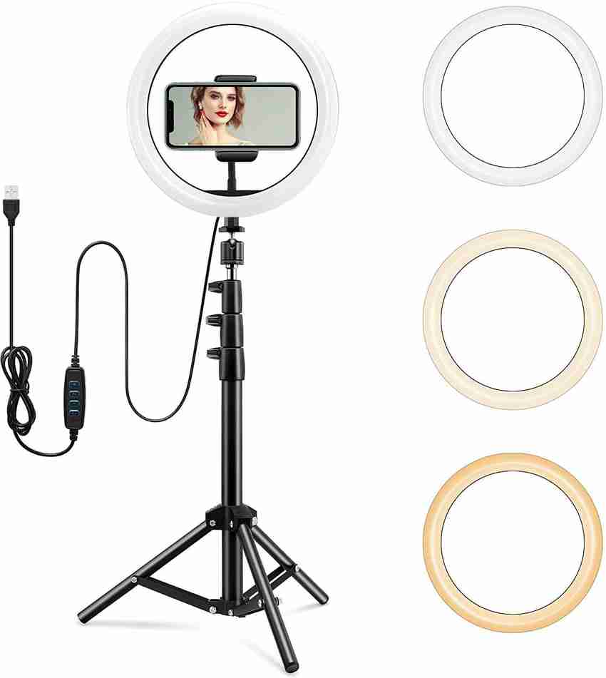 5 foot ring shop light