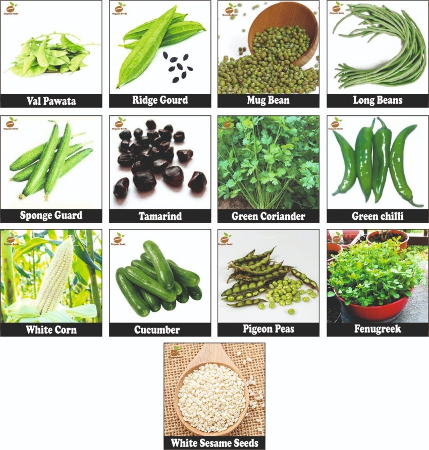 ABAJ Vegetable Organic Seeds 13 Pack Of Combo Variety s Perfect