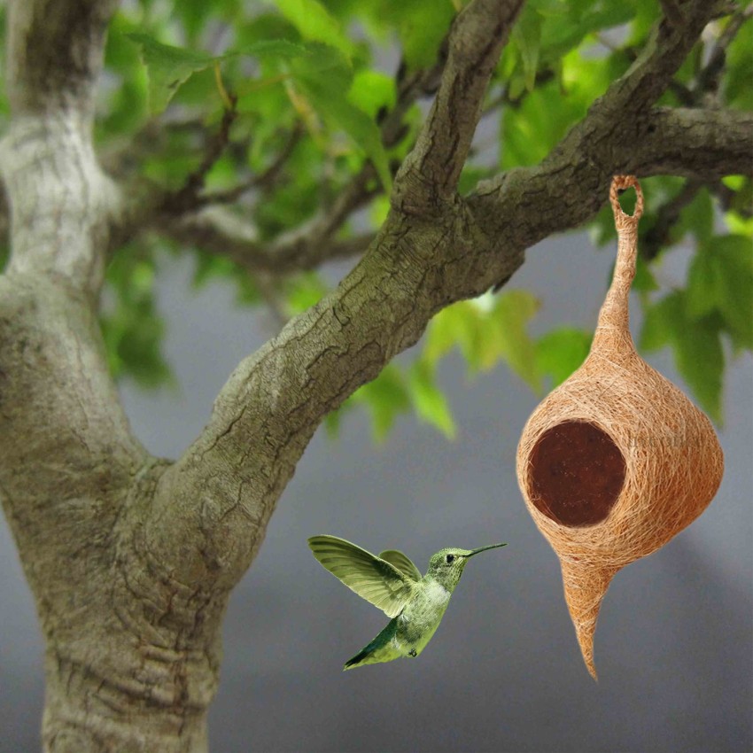 LIVEONCE Natural Bird NEST-pack of 2 Bird House Price in India - Buy  LIVEONCE Natural Bird NEST-pack of 2 Bird House online at