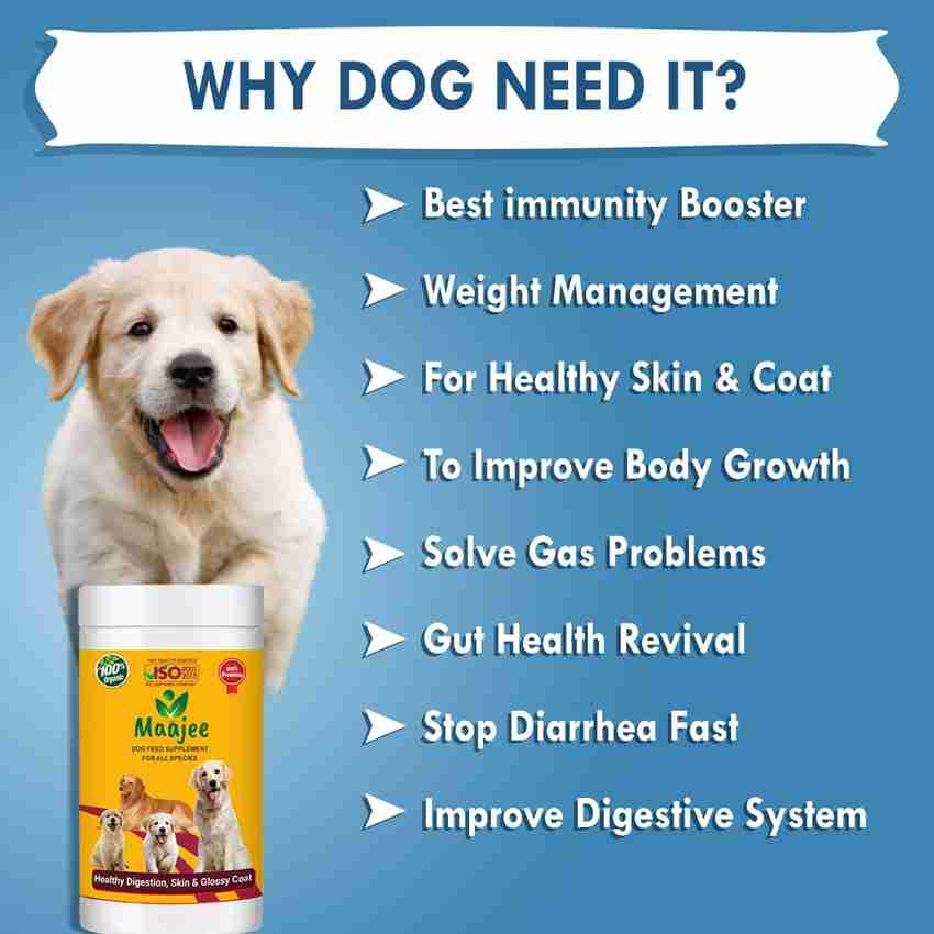 Best dog food for gas 2025 problems