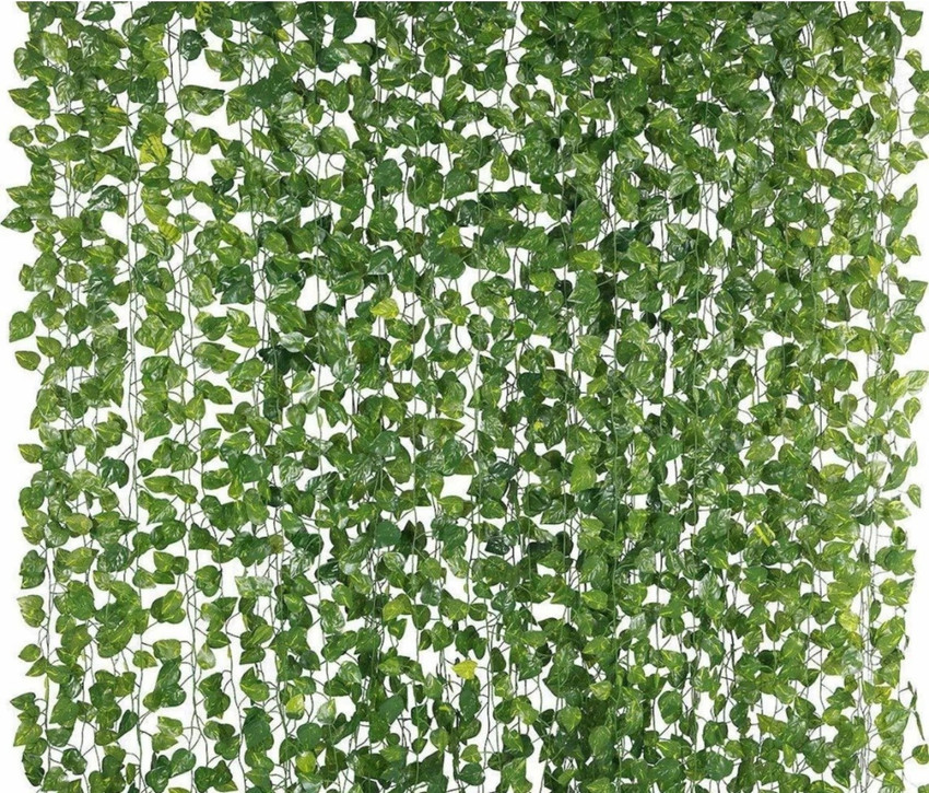 Green creepers deals