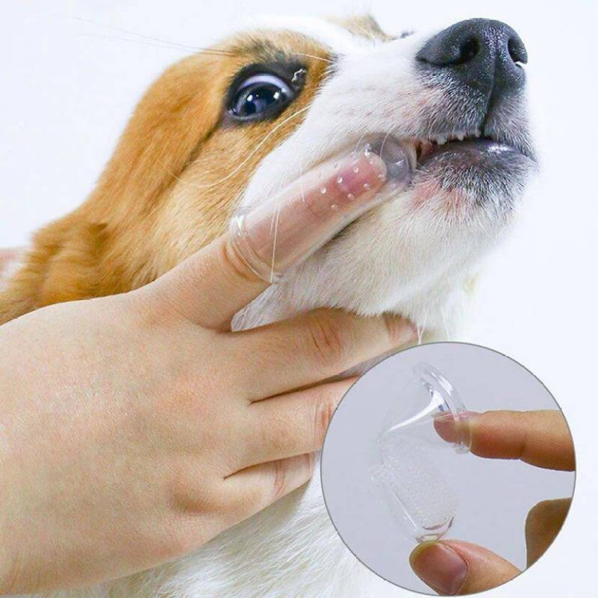 Jariso Dog Cat Soft Finger Toothbrush Pet Oral Dental Brush Pet